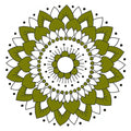 Kaakelitarra, Lotus Oliivi 6 kpl