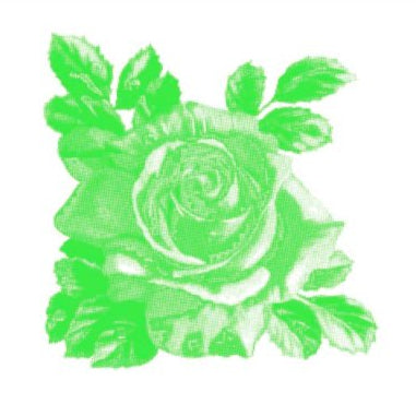 Kaakelitarra, Rosa-Lee Green 6 kpl