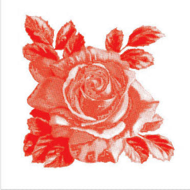 Kaakelitarra, Rosa-Lee Red 6 kpl