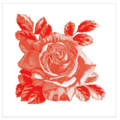Kaakelitarra, Rosa-Lee Red 6 kpl