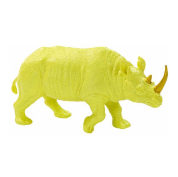 Patsas Fluorescent sarvikuono
