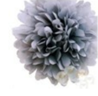 Pom Pom, harmaa