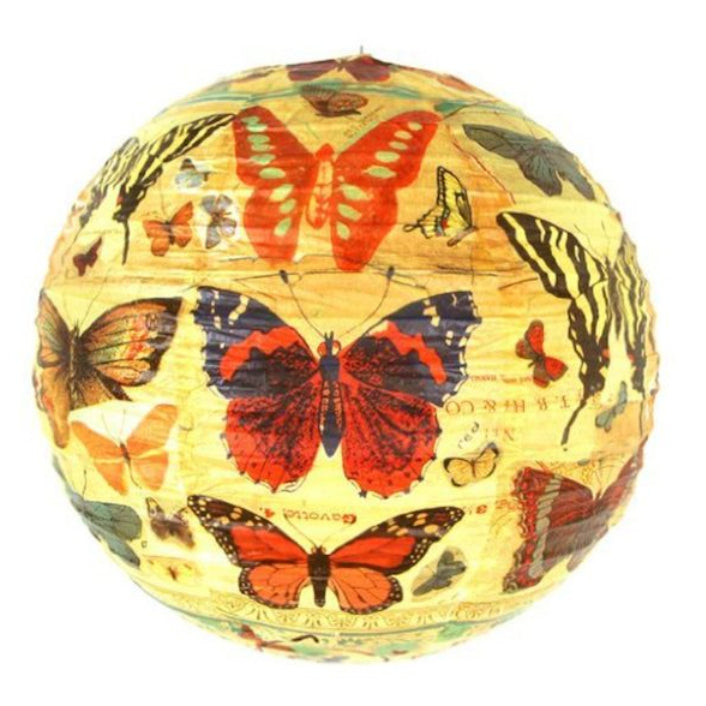 History of the butterfly -paperilamppu