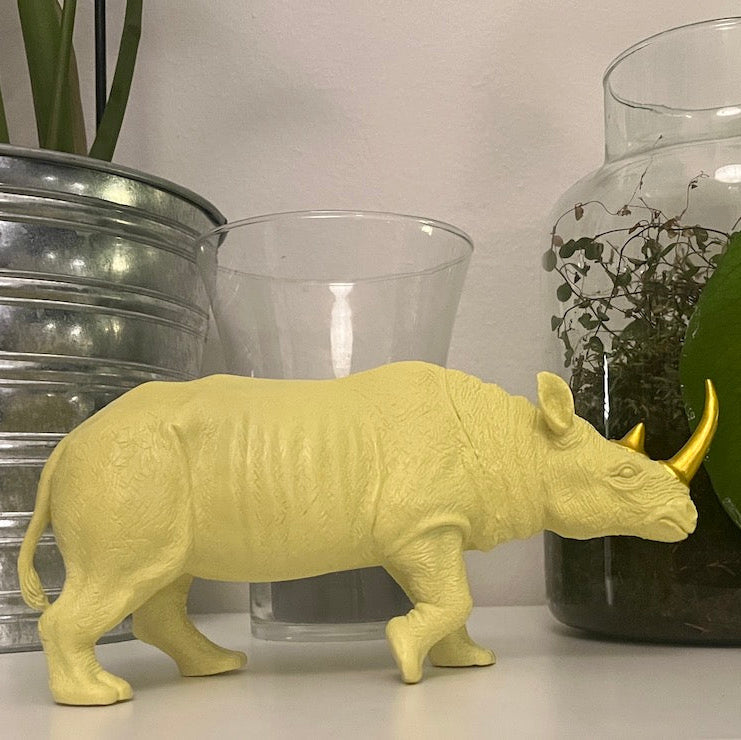 Patsas Fluorescent sarvikuono