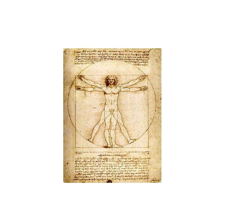 Vihko, Da Vinci